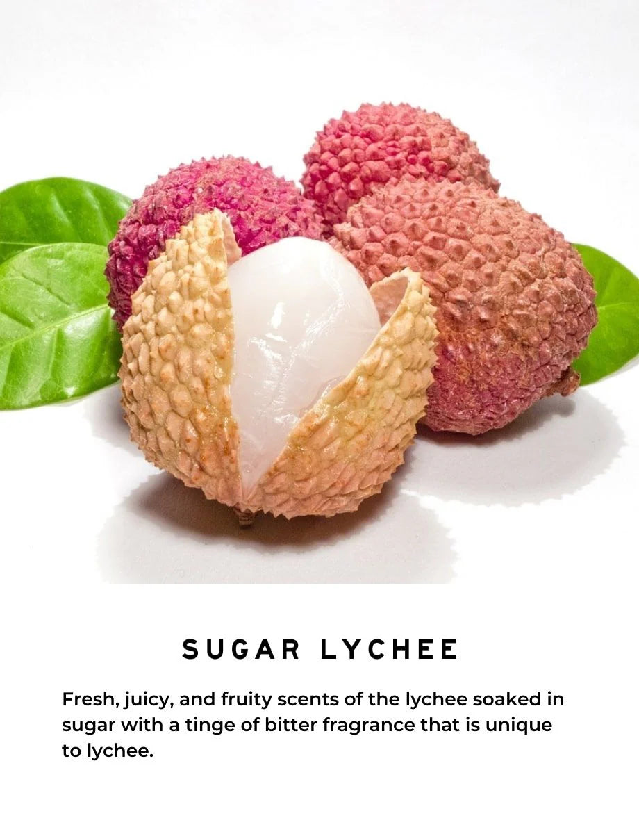 [SHOLAYERED] Fragrance Diffuser 500ml